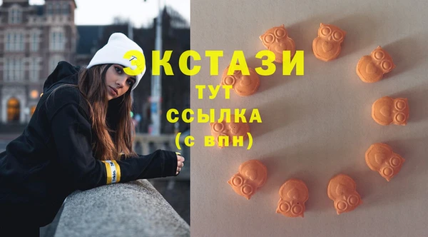 индика Апатиты