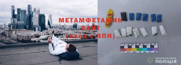 индика Апатиты