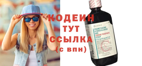 дмт Анива