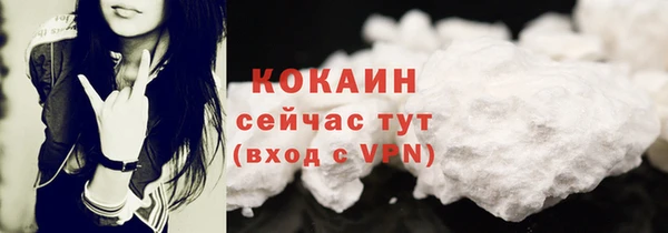 индика Апатиты