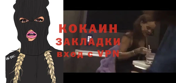 дмт Анива