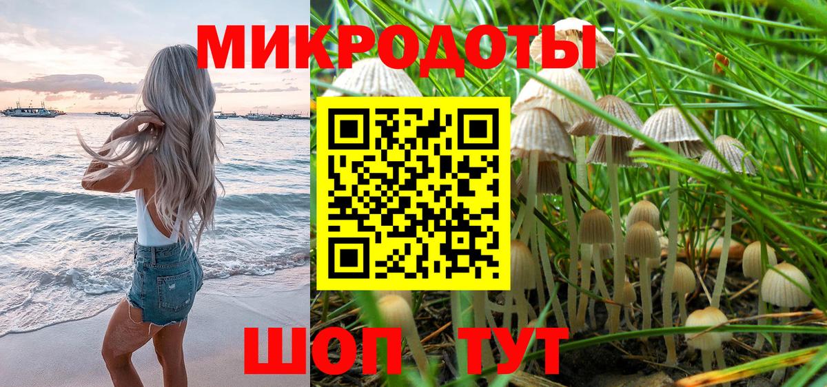 Псилоцибиновые грибы GOLDEN TEACHER Карабулак