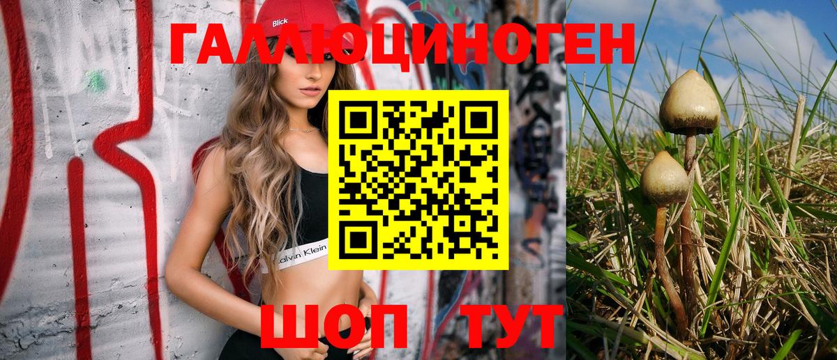 Псилоцибиновые грибы Psilocybe Карабулак